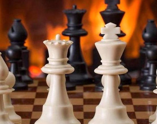 Curated Gaming Wisdom. Expert Insights Meet Passionate Player Community